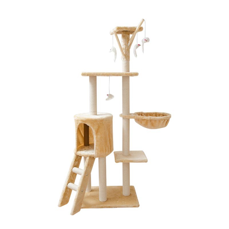 image of Classic Model
