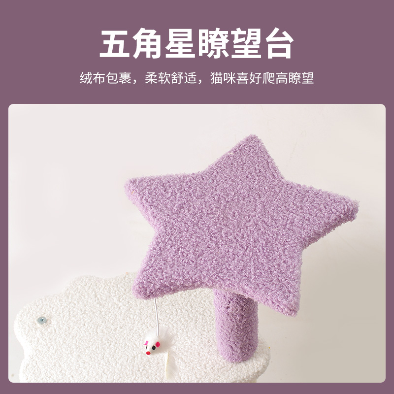 Starry Base Model